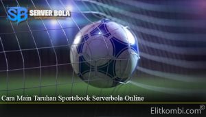 Cara Main Taruhan Sportsbook Serverbola Online