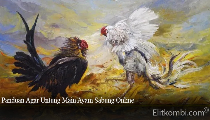 Panduan Agar Untung Main Ayam Sabung Online